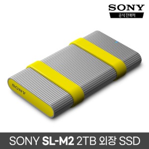 소니 SL-M2 외장 SSD 2TB